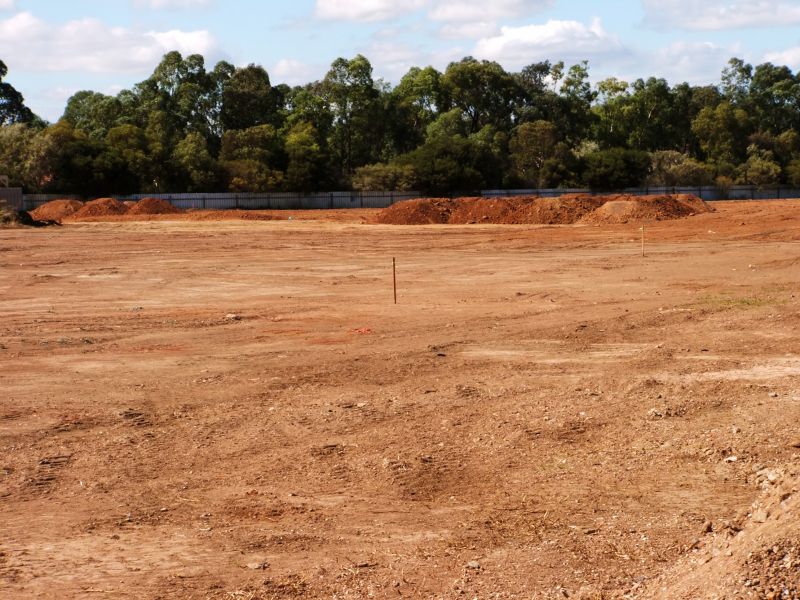 Vegetation Removal Process