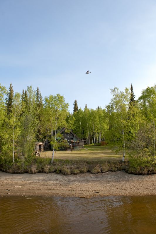 Local Land Clearing Contractors