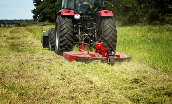 Cost of Brush Clearing Service in Austin